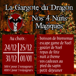 Nuit magique des fêtes